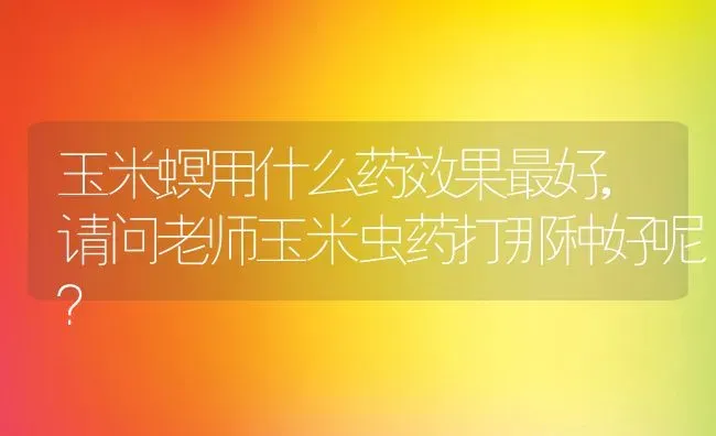 玉米螟用什么药效果最好,请问老师玉米虫药打那种好呢？ | 养殖常见问题
