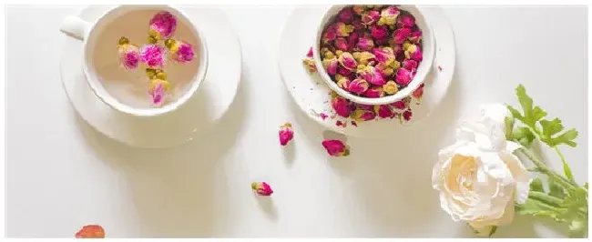 金边玫瑰的花期是多久 | 三农问答