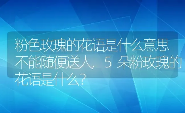 粉色玫瑰的花语是什么意思不能随便送人,5朵粉玫瑰的花语是什么？ | 养殖常见问题