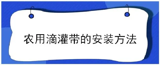 农用滴灌带的安装方法 | 科普知识