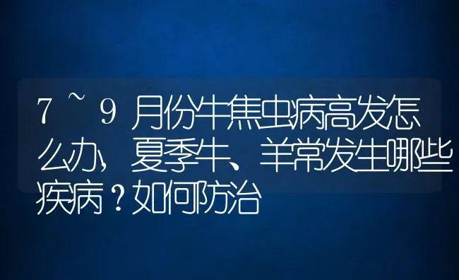 7~9月份牛焦虫病高发怎么办,夏季牛、羊常发生哪些疾病？如何防治 | 养殖常见问题