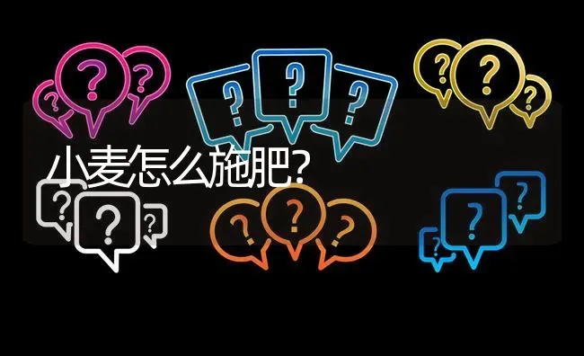 小麦怎么施肥? | 养殖问题解答