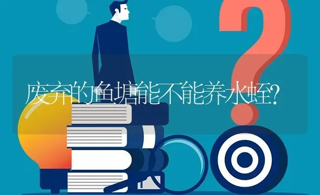废弃的鱼塘能不能养水蛭? | 养殖问题解答