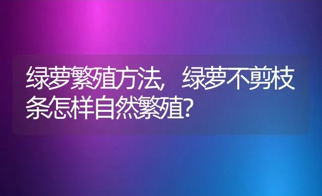 绿萝繁殖方法,绿萝不剪枝条怎样自然繁殖？ | 养殖常见问题