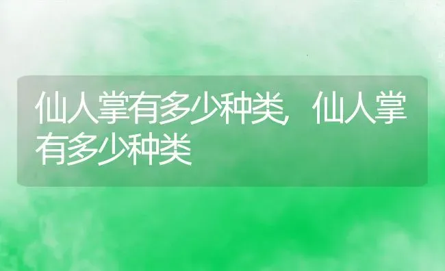 仙人掌有多少种类,仙人掌有多少种类 | 养殖常见问题