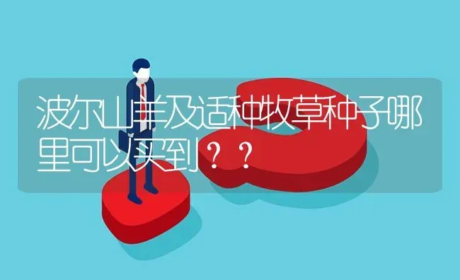 波尔山羊及适种牧草种子哪里可以买到?? | 养殖问题解答