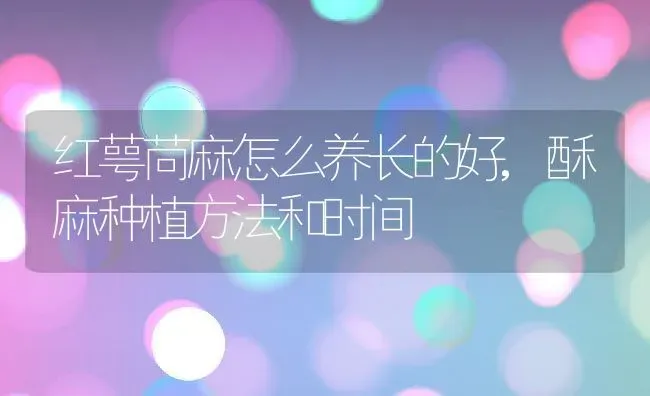 茄子用什么肥料好，怎么施肥,茄子用什么肥料好，怎么施肥 | 养殖常见问题