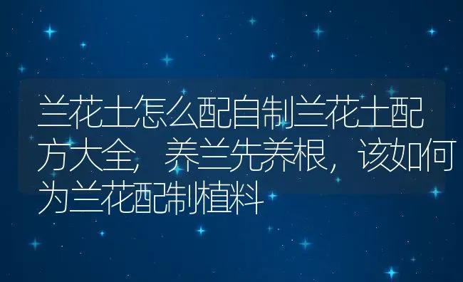 兰花土怎么配自制兰花土配方大全,养兰先养根，该如何为兰花配制植料 | 养殖常见问题