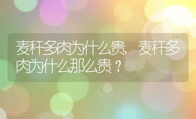 麦秆多肉为什么贵,麦秆多肉为什么那么贵？ | 养殖常见问题