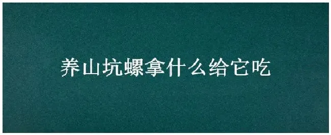 养山坑螺拿什么给它吃 | 农业问题