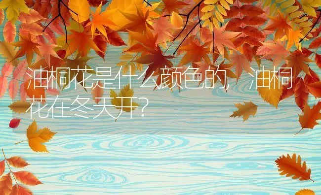 油桐花是什么颜色的,油桐花在冬天开？ | 养殖常见问题