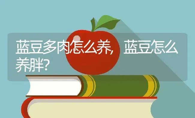 蓝豆多肉怎么养,蓝豆怎么养胖？ | 养殖常见问题