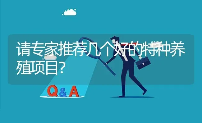 请专家推荐几个好的特种养殖项目? | 养殖问题解答