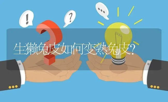生獭兔皮如何变熟兔皮? | 养殖问题解答
