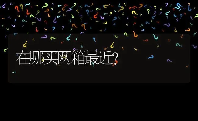 在哪买网箱最近? | 养殖问题解答