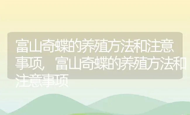 富山奇蝶的养殖方法和注意事项,富山奇蝶的养殖方法和注意事项 | 养殖常见问题