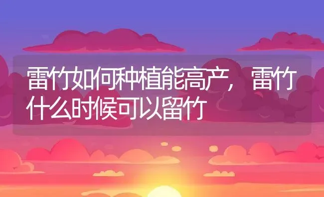 雷竹如何种植能高产,雷竹什么时候可以留竹 | 养殖常见问题