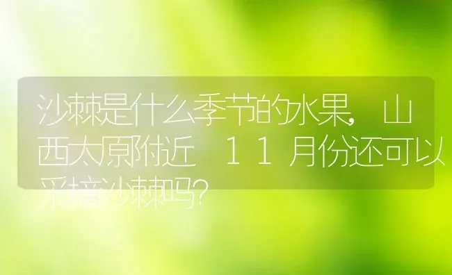 沙棘是什么季节的水果,山西太原附近 11月份还可以采摘沙棘吗？ | 养殖常见问题