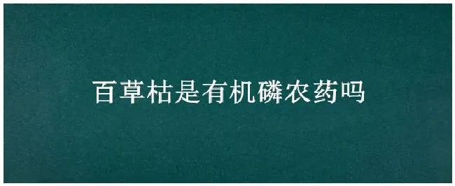 百草枯是有机磷农药吗 | 农业答疑