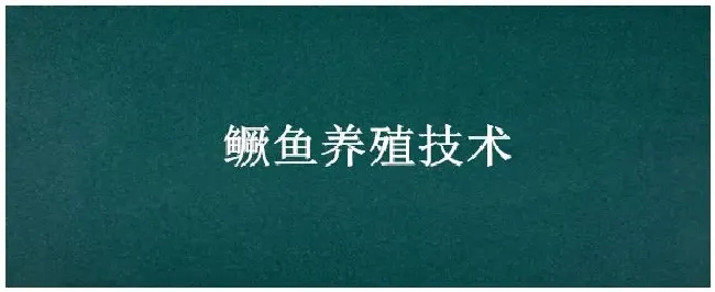 鳜鱼养殖技术 | 三农答疑