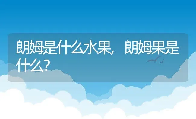 朗姆是什么水果,朗姆果是什么？ | 养殖常见问题