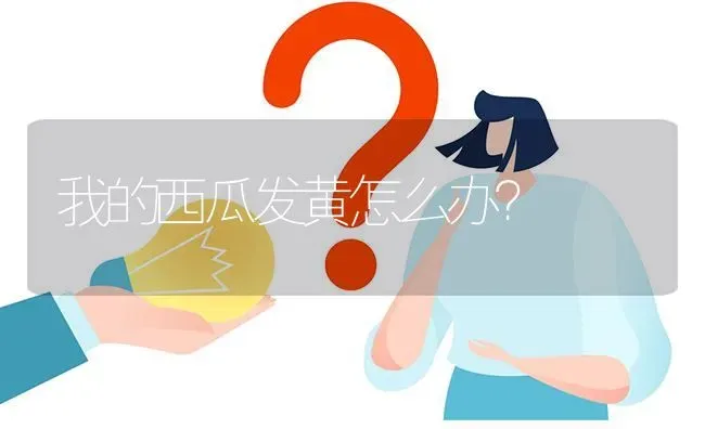 我的西瓜发黄怎么办? | 养殖问题解答