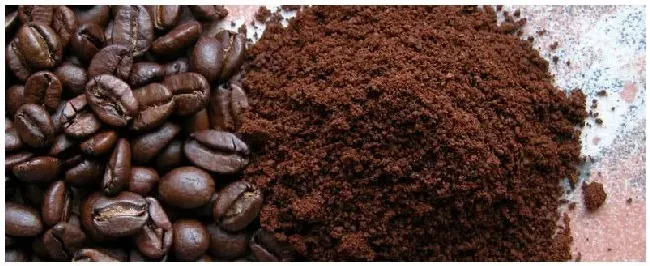 咖啡渣如何沤肥 | 三农问答