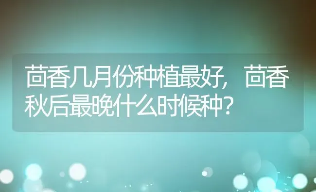 茴香几月份种植最好,茴香秋后最晚什么时候种？ | 养殖常见问题