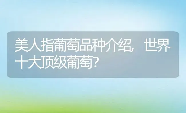 美人指葡萄品种介绍,世界十大顶级葡萄？ | 养殖常见问题