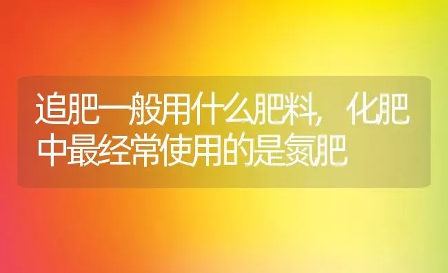 追肥一般用什么肥料,化肥中最经常使用的是氮肥 | 养殖常见问题