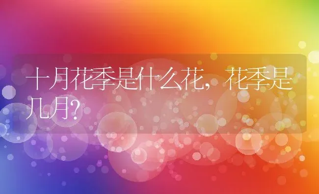 十月花季是什么花,花季是几月？ | 养殖常见问题