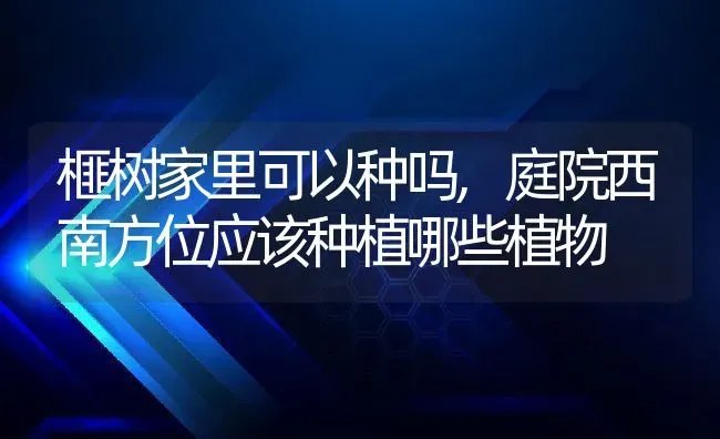 榧树家里可以种吗,庭院西南方位应该种植哪些植物 | 养殖常见问题