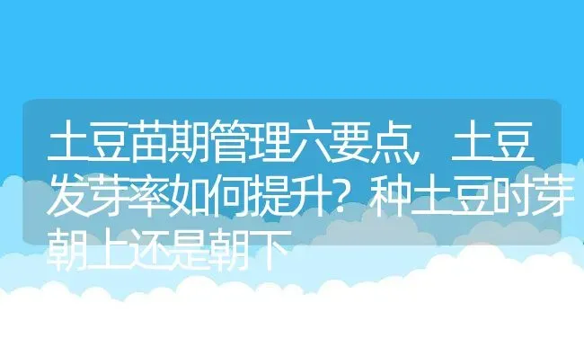 土豆苗期管理六要点,土豆发芽率如何提升？种土豆时芽朝上还是朝下 | 养殖常见问题