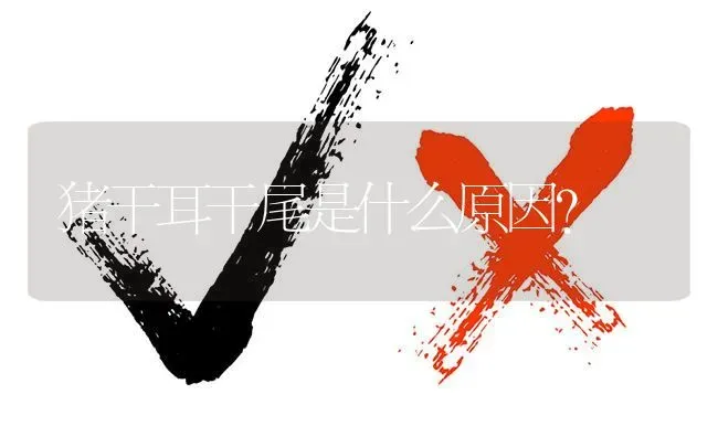 猪干耳干尾是什么原因? | 养殖问题解答