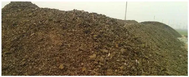 有机肥是什么做的 | 科普知识