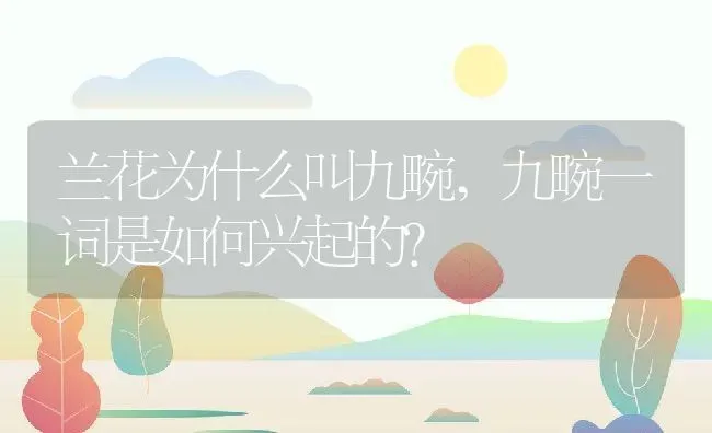 兰花为什么叫九畹,九畹一词是如何兴起的？ | 养殖常见问题