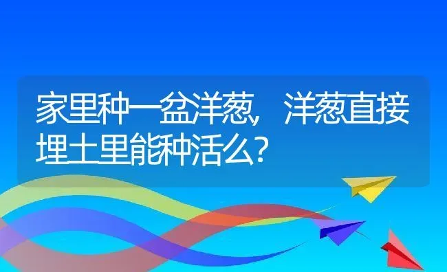 家里种一盆洋葱,洋葱直接埋土里能种活么？ | 养殖常见问题