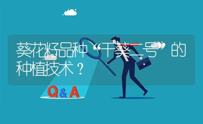 葵花籽品种“干葵二号”的种植技术? | 养殖问题解答