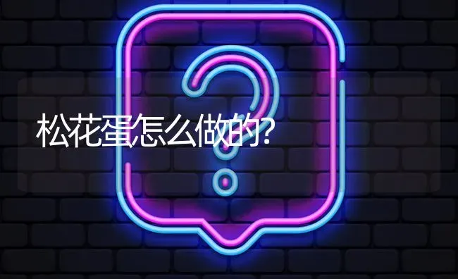 松花蛋怎么做的? | 养殖问题解答