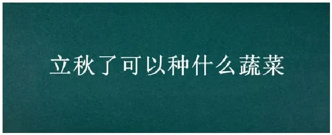 立秋了可以种什么蔬菜 | 科普知识