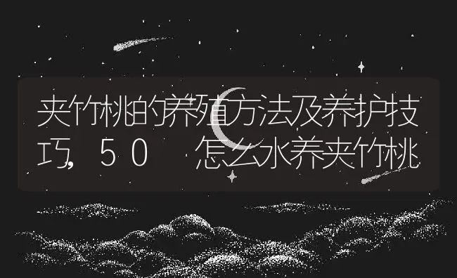 夹竹桃的养殖方法及养护技巧,50 怎么水养夹竹桃 | 养殖常见问题