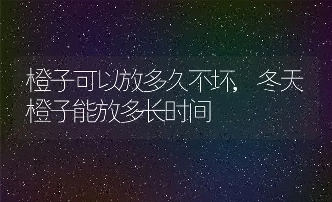 橙子可以放多久不坏,冬天橙子能放多长时间 | 养殖常见问题