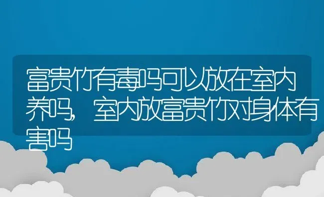 富贵竹有毒吗可以放在室内养吗,室内放富贵竹对身体有害吗 | 养殖常见问题