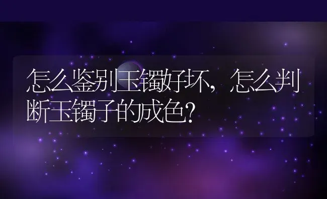 怎么鉴别玉镯好坏,怎么判断玉镯子的成色？ | 养殖常见问题