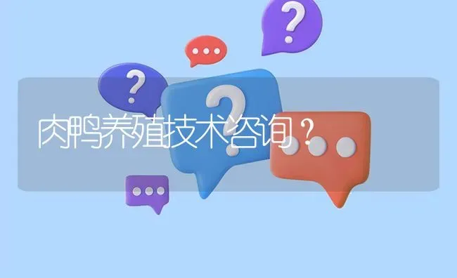 肉鸭养殖技术咨询? | 养殖问题解答