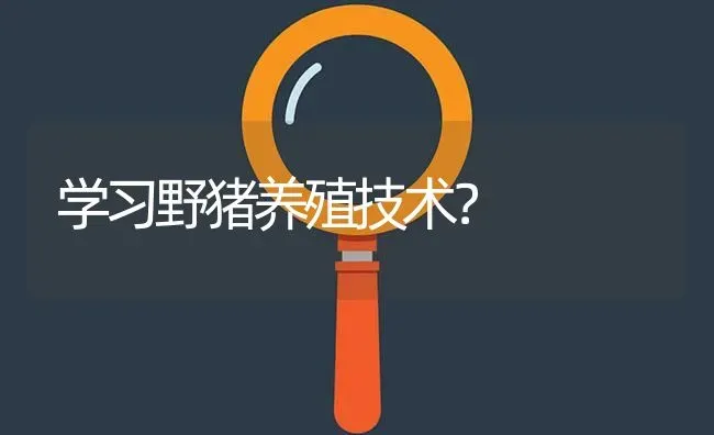 学习野猪养殖技术? | 养殖问题解答