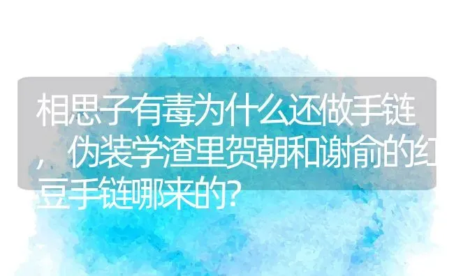 相思子有毒为什么还做手链,伪装学渣里贺朝和谢俞的红豆手链哪来的？ | 养殖常见问题