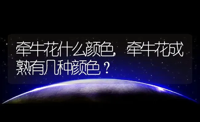 牵牛花什么颜色,牵牛花成熟有几种颜色？ | 养殖常见问题