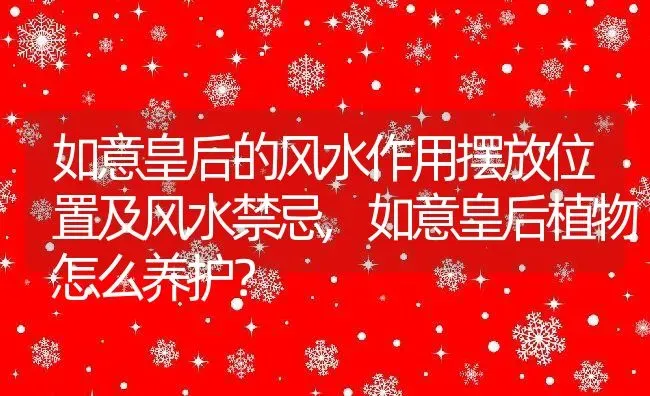 如意皇后的风水作用摆放位置及风水禁忌,如意皇后植物怎么养护？ | 养殖常见问题