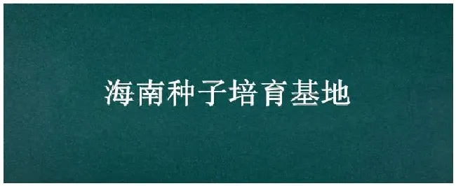 海南种子培育基地 | 农业答疑